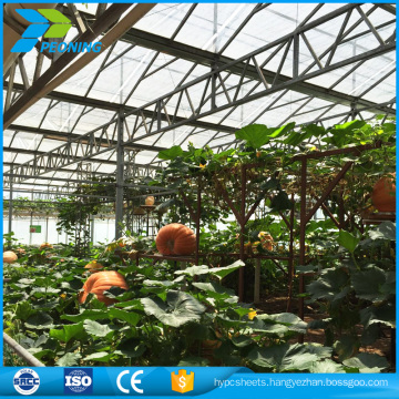 OEM greenhouse polycarbonate sheet, 4mm-36mm available, any color could be custom made